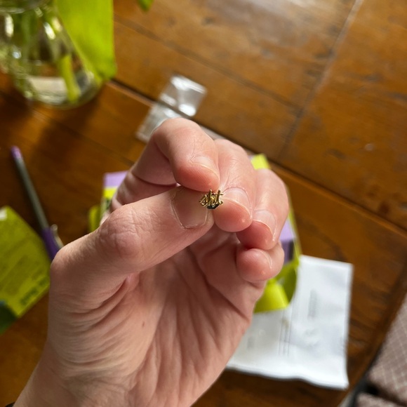 Larissa Loden Shit Script Stud, 14k Gold - Picture 4 of 5